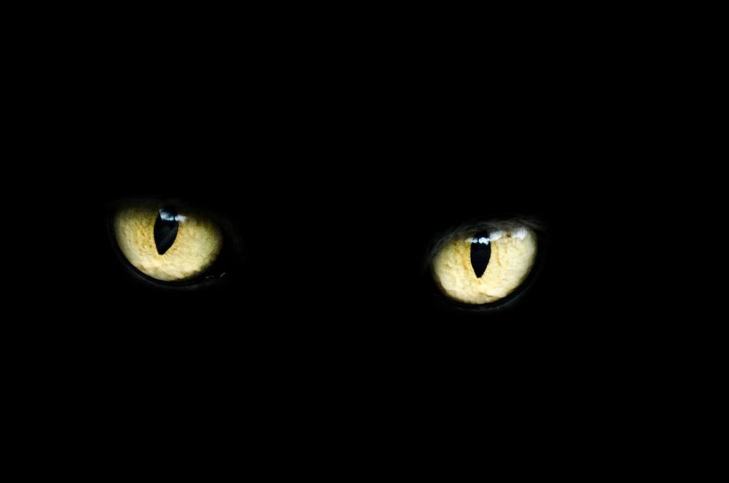 Un expert en psychologie explique pourquoi les gens croient aux superstitions
